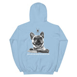 Fiddleback Forge Ivy Hoodie